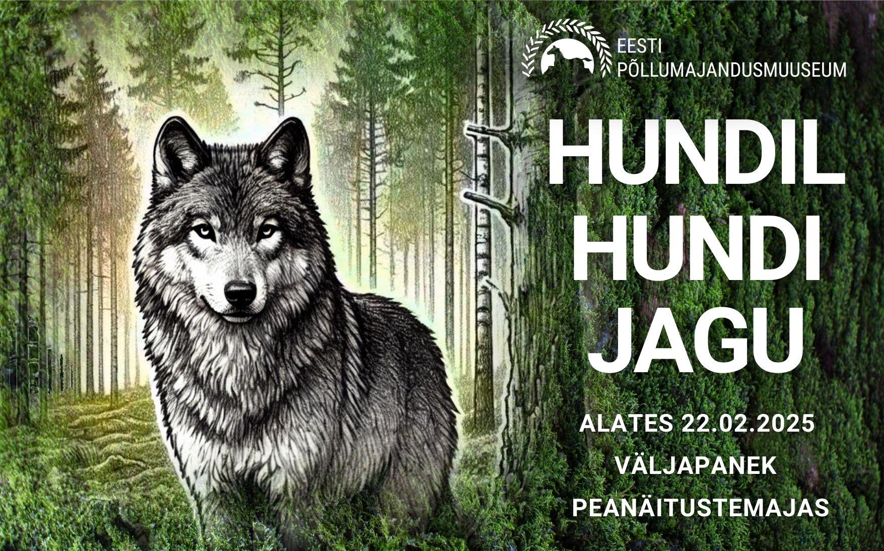 Väljapanek “Hundil hundi jagu”