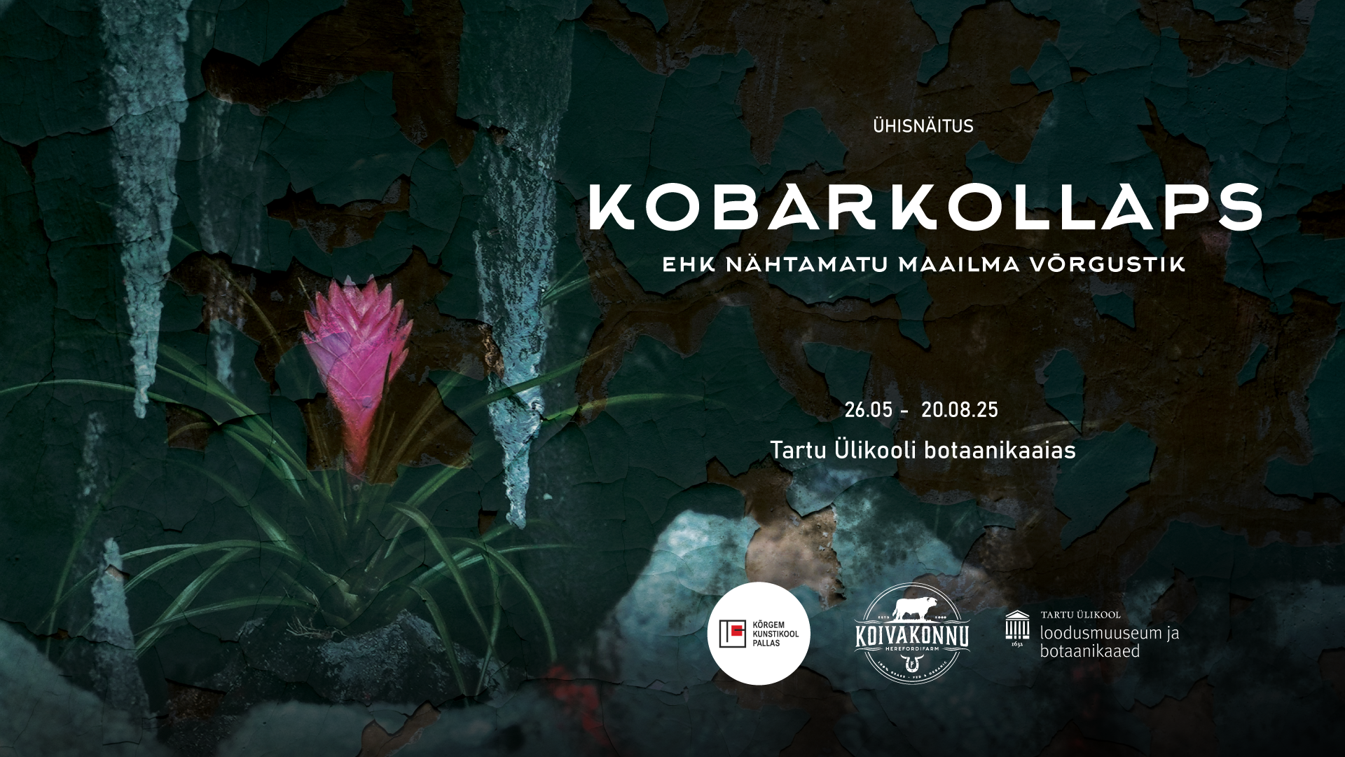 Pallas skulptuuriosakonna näitus „Kobarkollaps ehk nähtamatu maailma võrgustik“