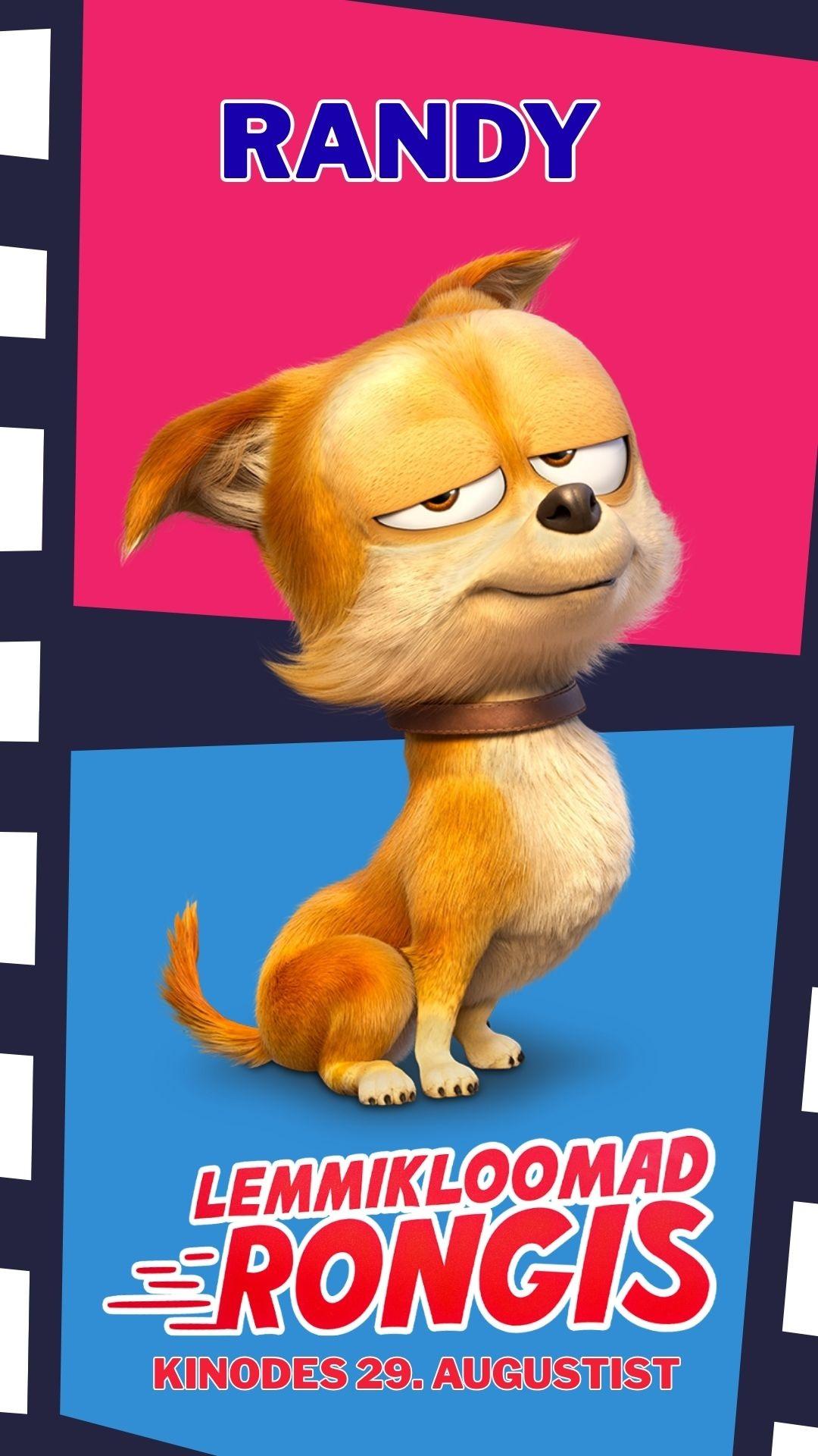 Lemmikloomad rongis
