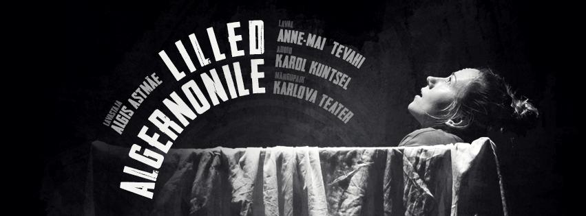 “Lilled Algernonile” & vestlusõhtu