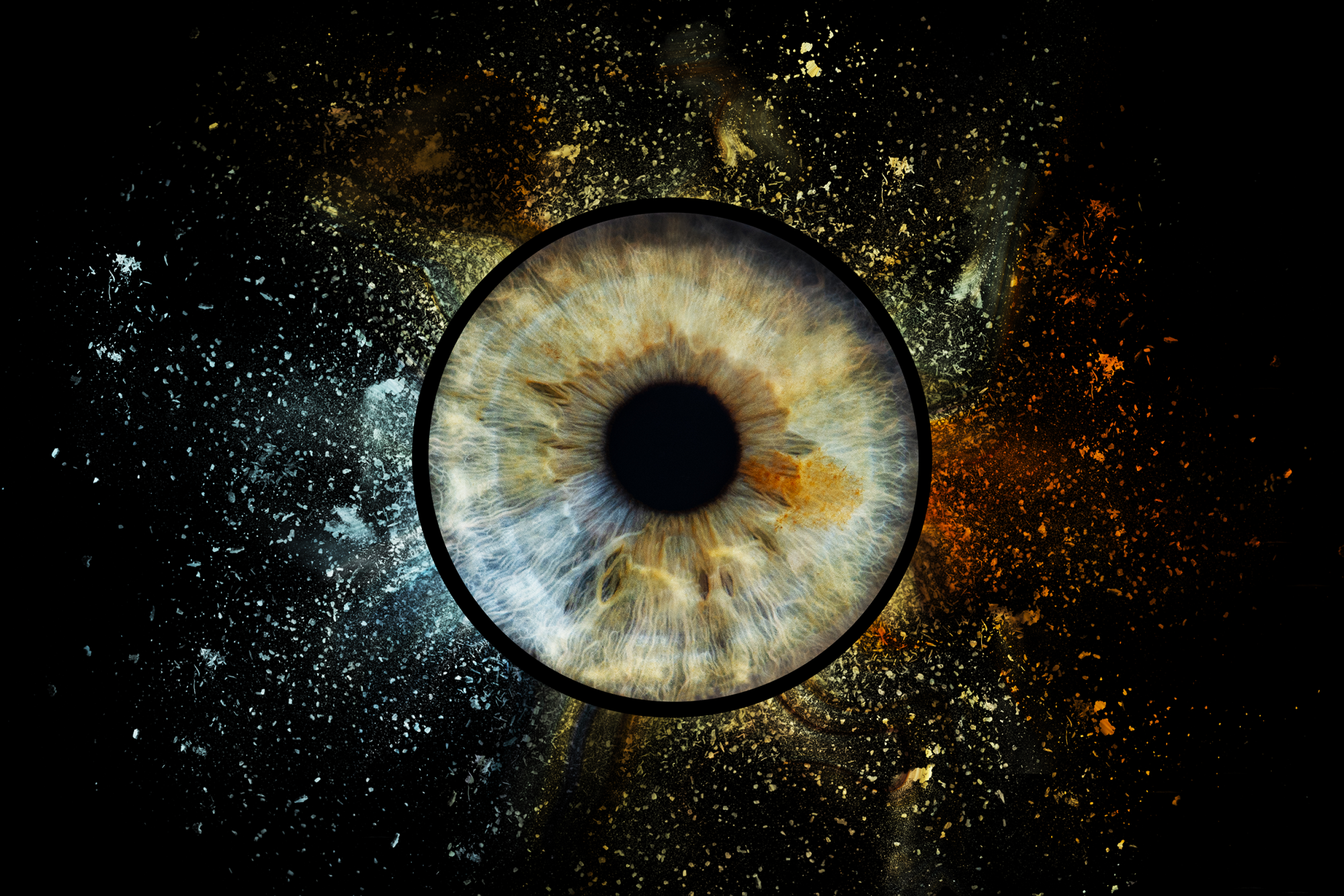 Silmaiiriste fotonäitus “Märkamatu maailma suurendatud Ilu”