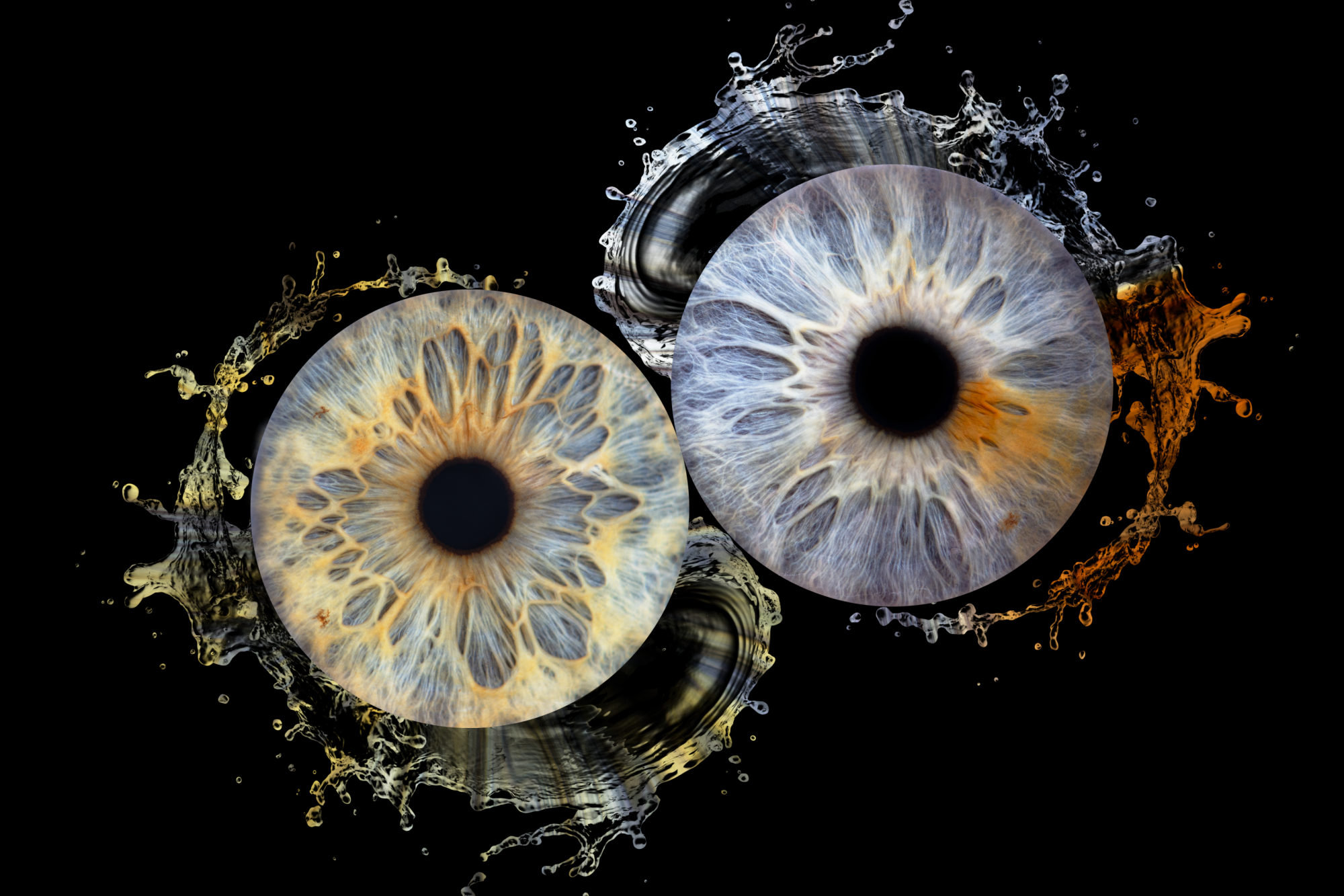 Silmaiiriste fotonäitus “Märkamatu maailma suurendatud Ilu”