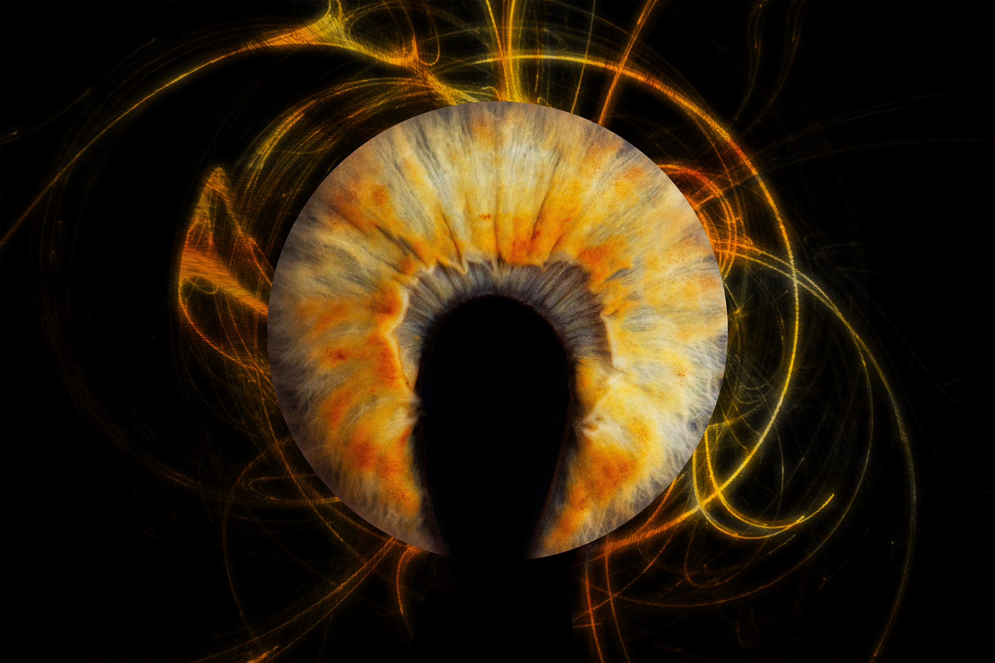 Silmaiiriste fotonäitus “Märkamatu maailma suurendatud Ilu”