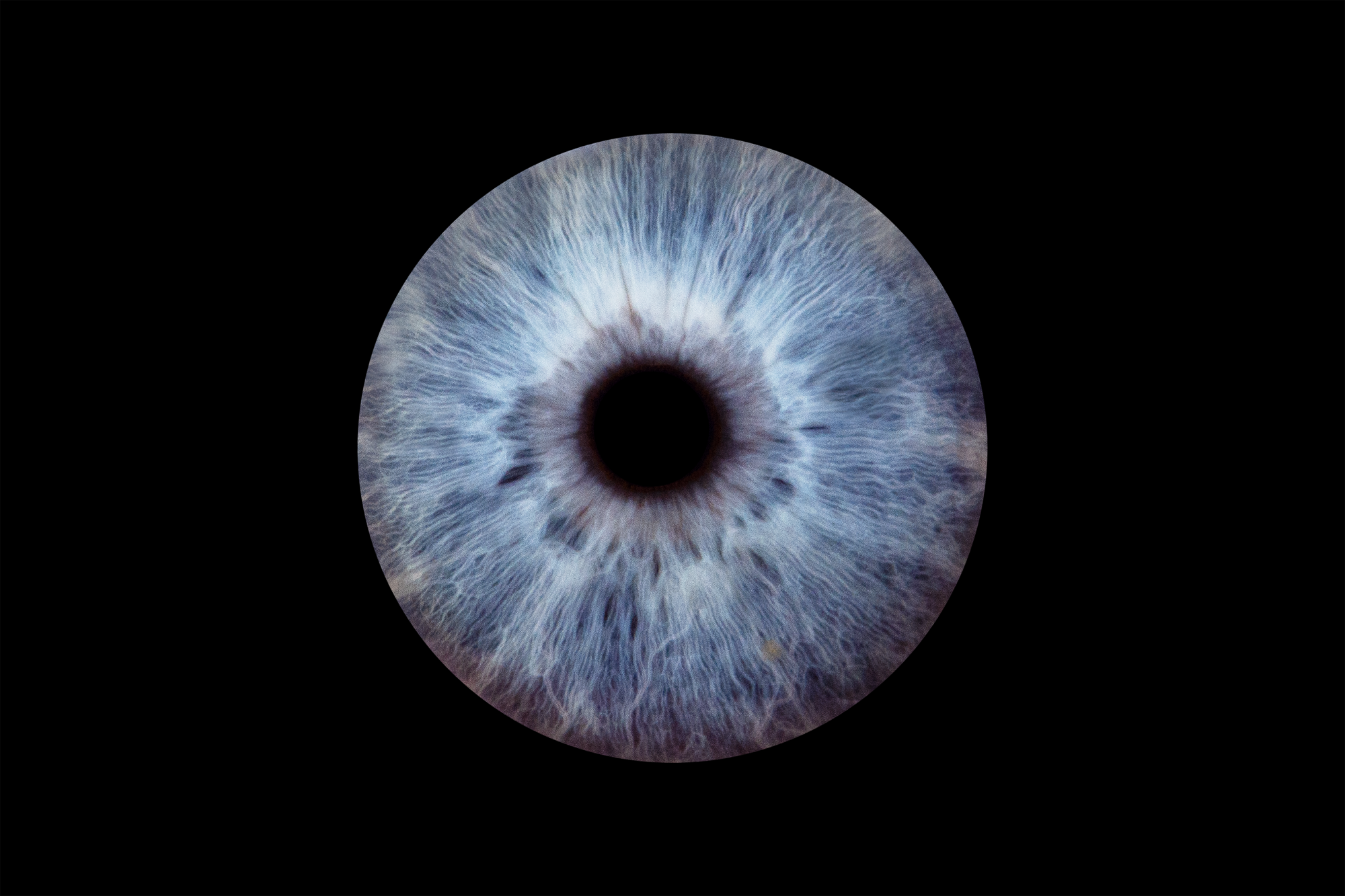 Silmaiiriste fotonäitus “Märkamatu maailma suurendatud Ilu”