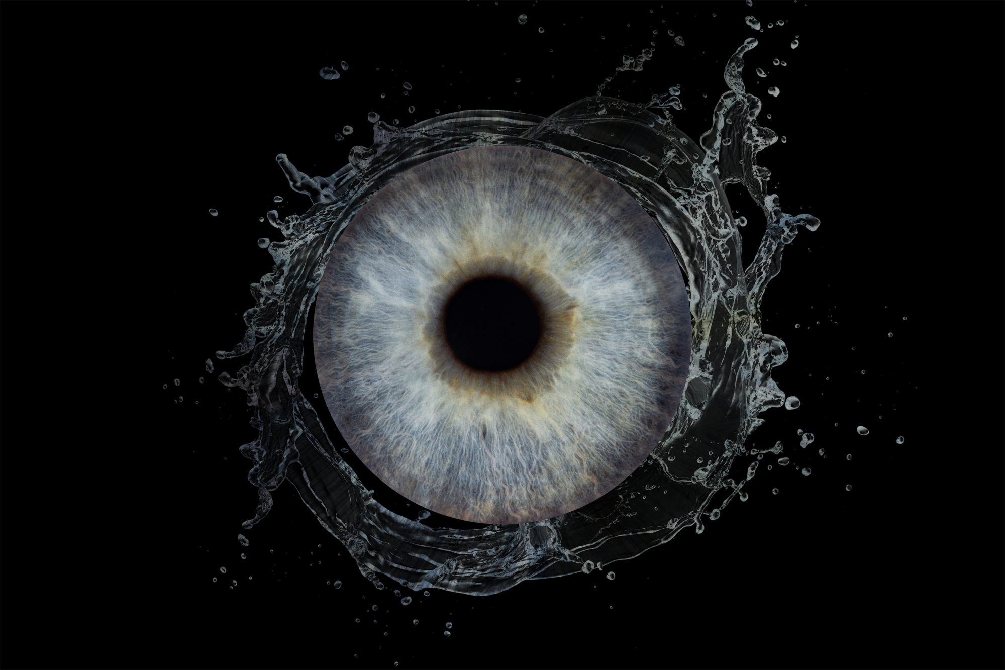 Silmaiiriste fotonäitus “Märkamatu maailma suurendatud Ilu”