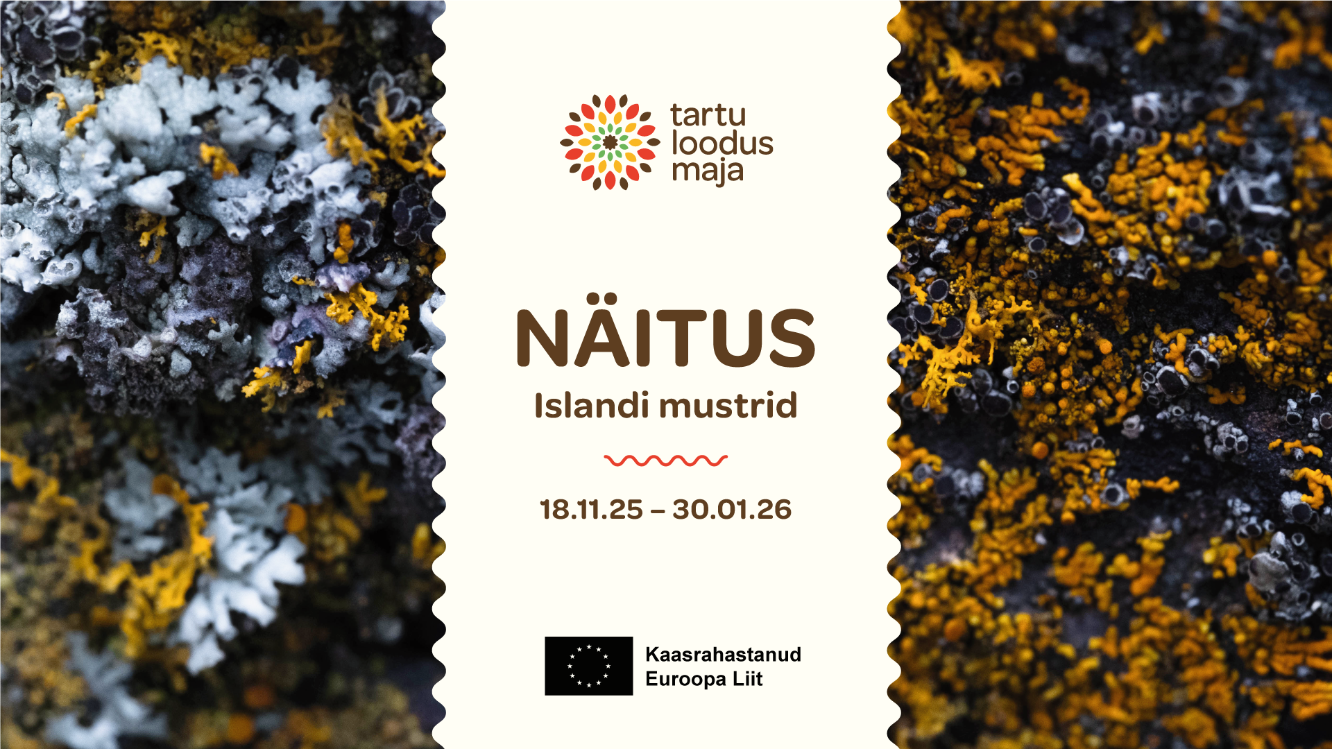 Näitus “Islandi mustrid”