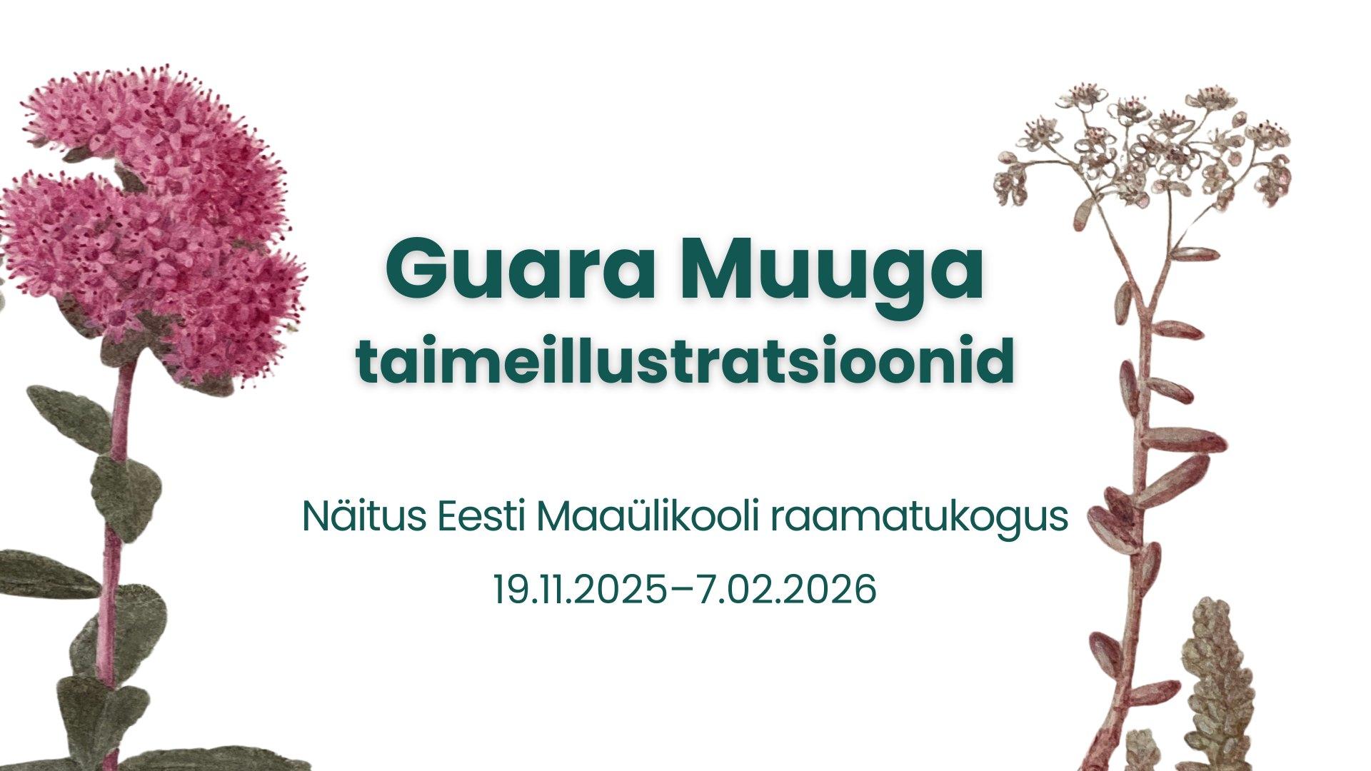 Guara Muuga taimeillustratsioonide näitus