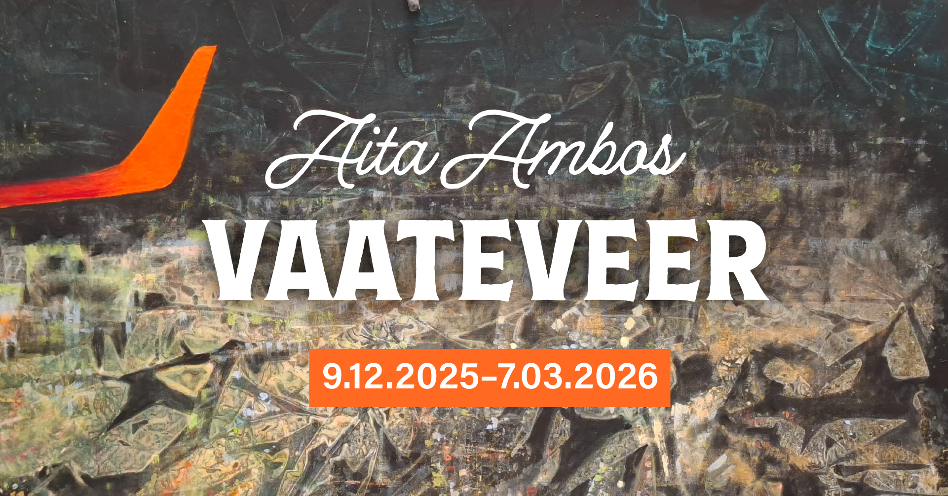 Aita Ambose maalinäitus „Vaateveer“