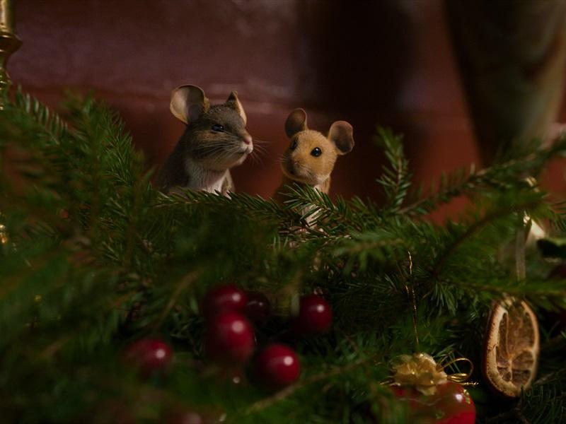 Hiired üksinda kodus