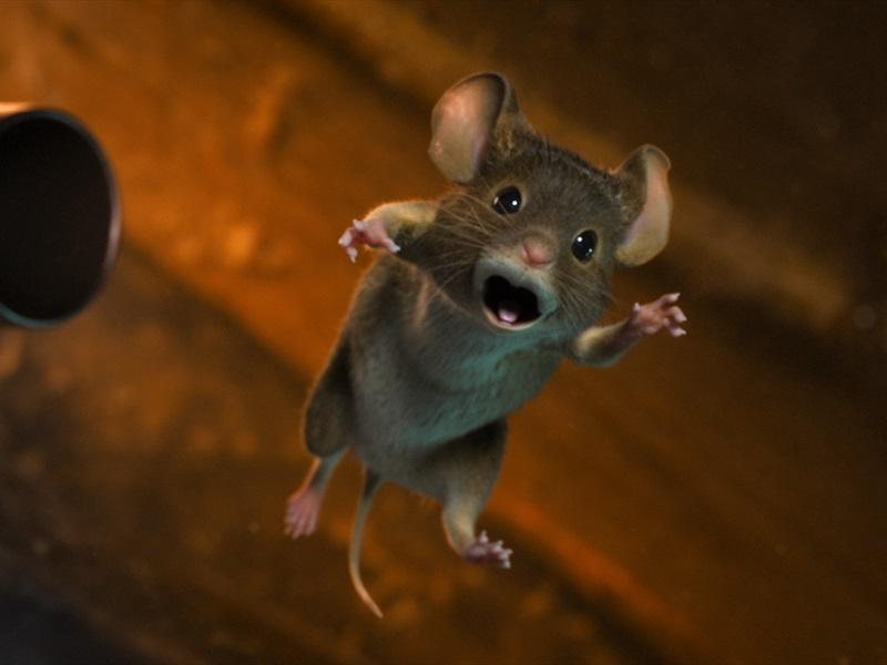 Hiired üksinda kodus