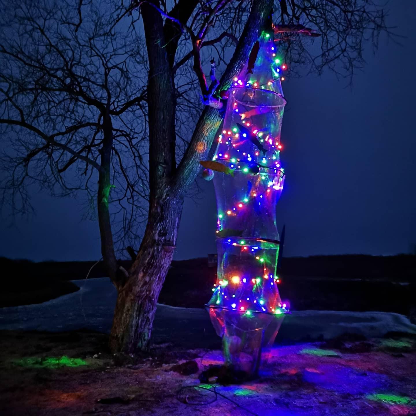 Sibulatee kiiksuga jõulupuud