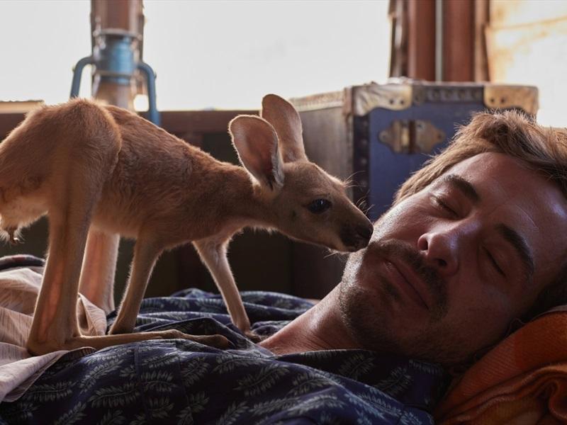 Liia ja kängurupoeg