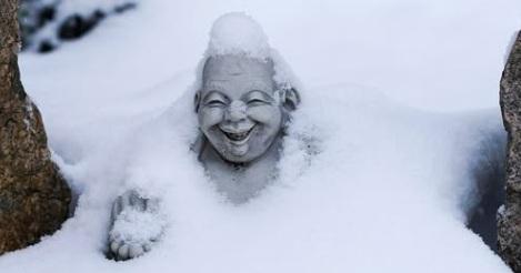 Chan-budismi mõtlusõhtud