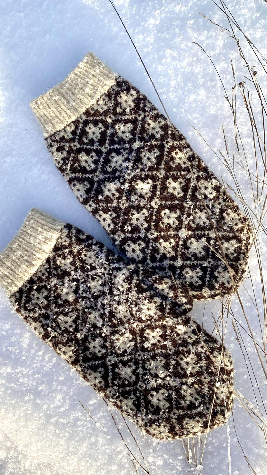 Kannan 24. veebruaril Eesti kindaid