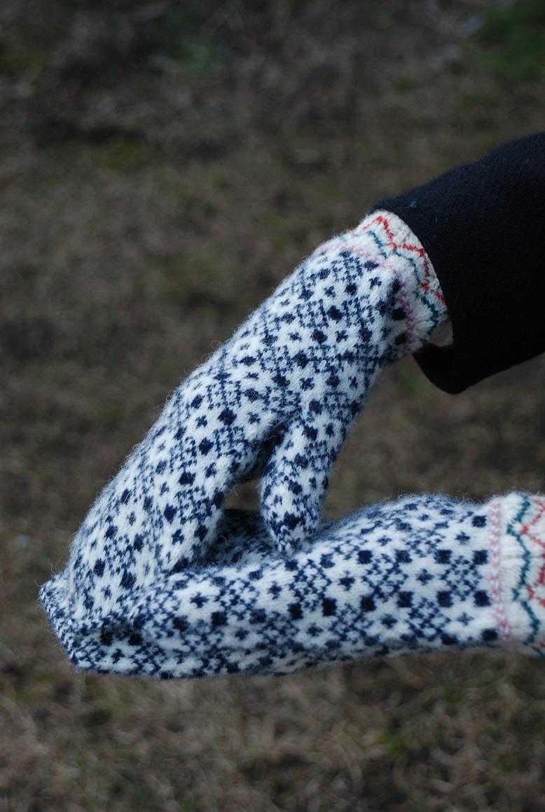 Kannan 24. veebruaril Eesti kindaid