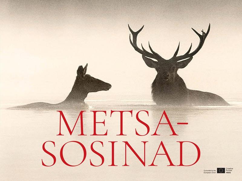 Metsasosinad