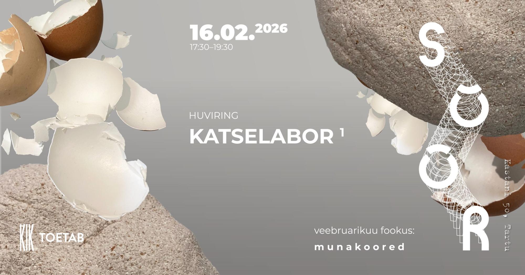 Katselabor – igakuine huviring