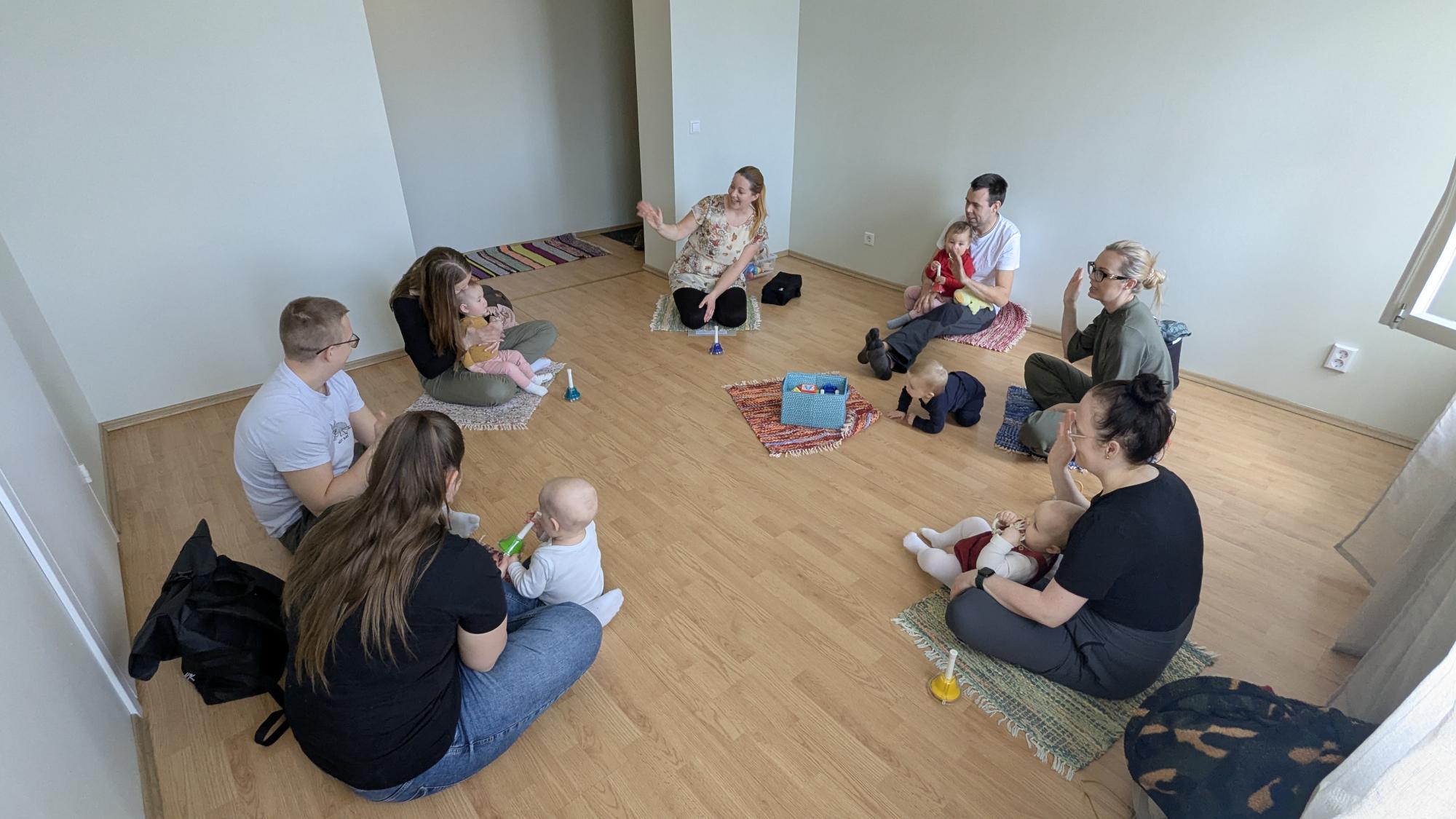 Beebiviiplemise beebiringid (vanuses 6-14 kuud)