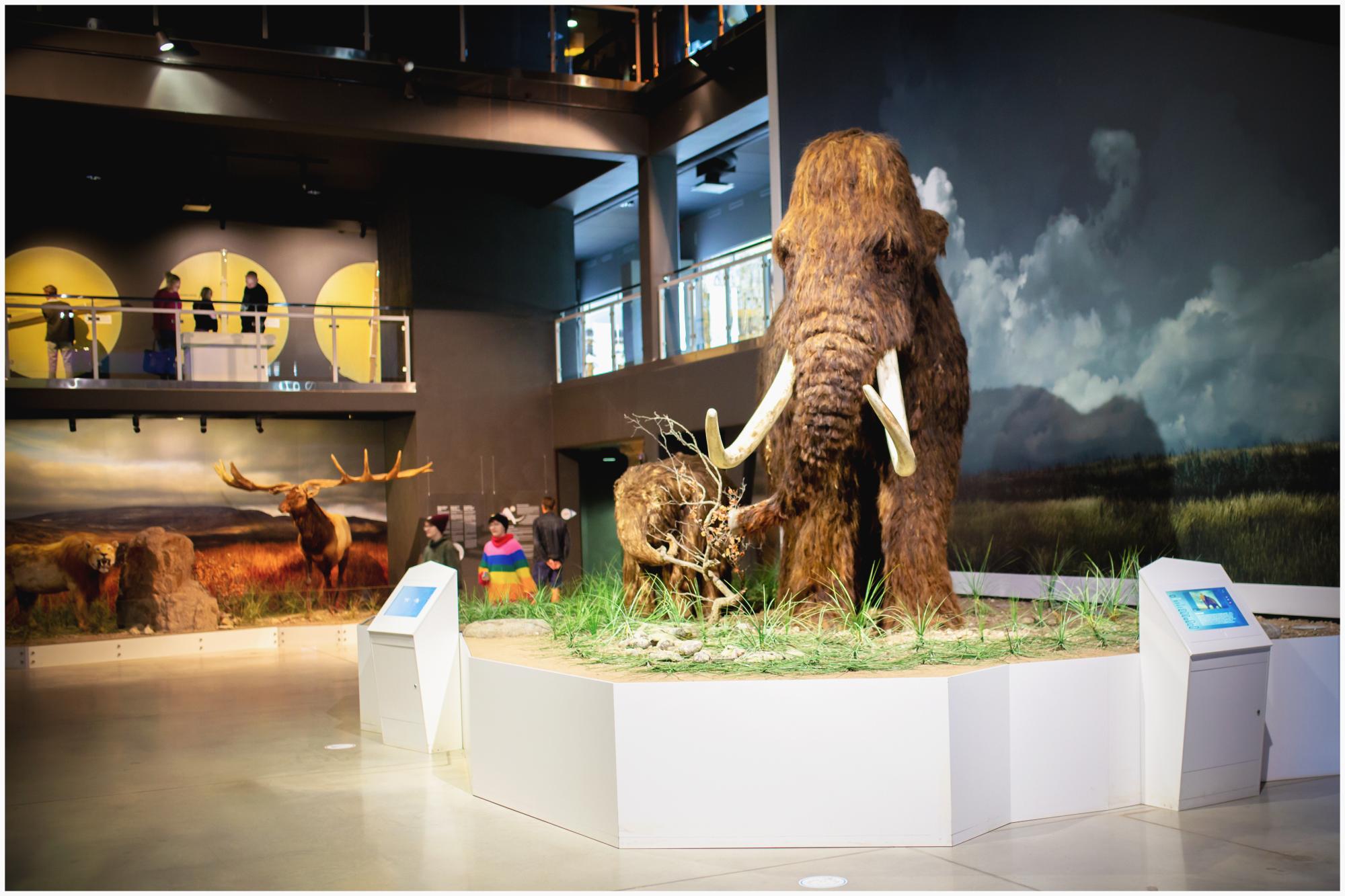 Uus näitus “Eesti Polaarklubi 40”