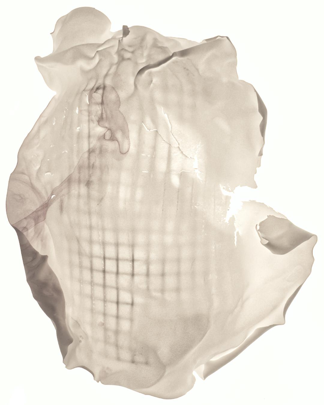 Anna Škodenko, Maria Valdma-Härm „Ma tean, miks puurilinnud laulavad“