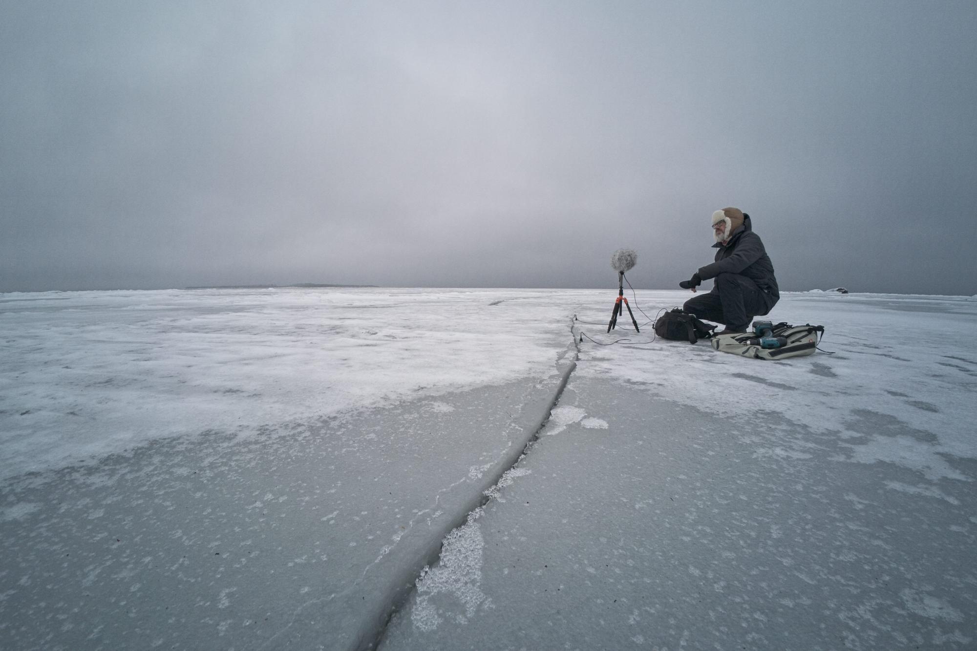 John Grzinich „Püsituse väli“