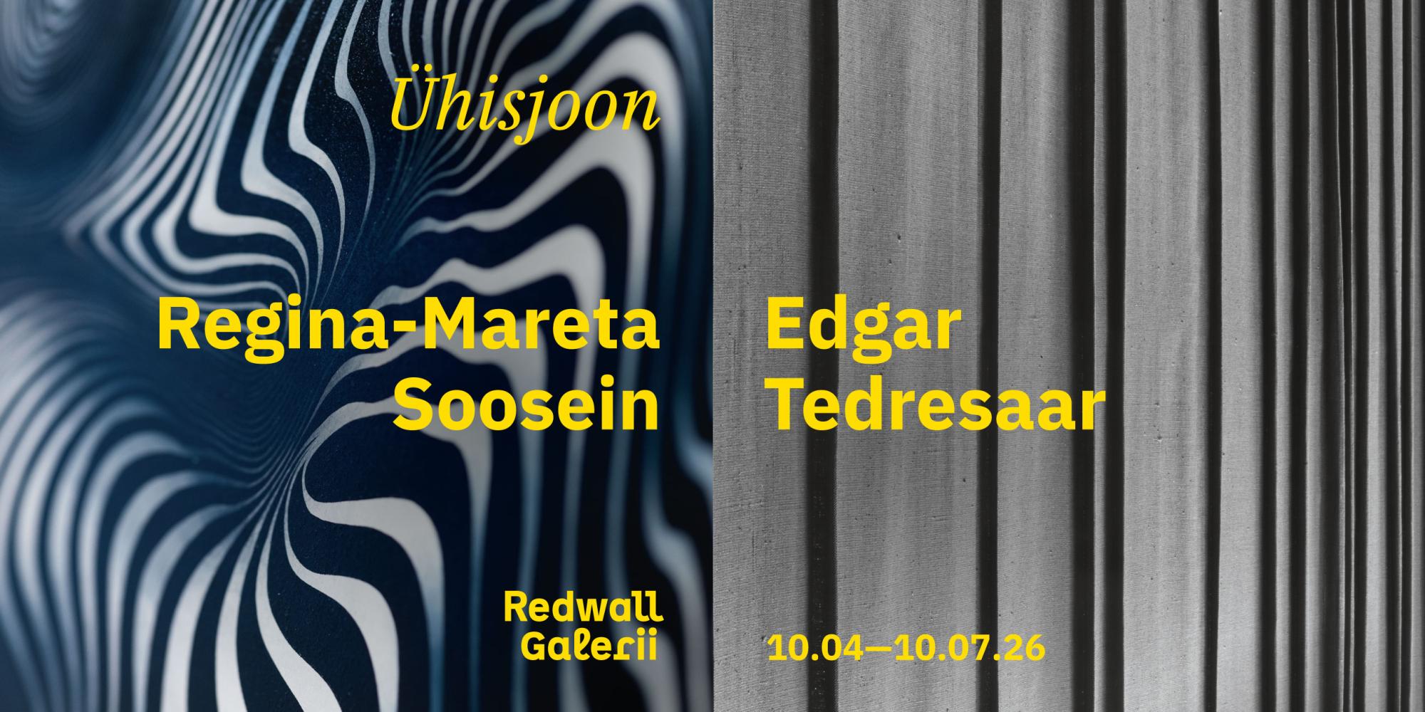 Edgar Tedresaare ja Regina-Mareta Soonseina näitus “Ühisjoon”