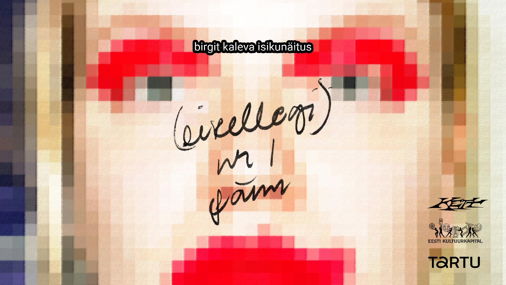 Birgit Kaleva isikunäitus “(eikellegi) nr. 1 fänn”